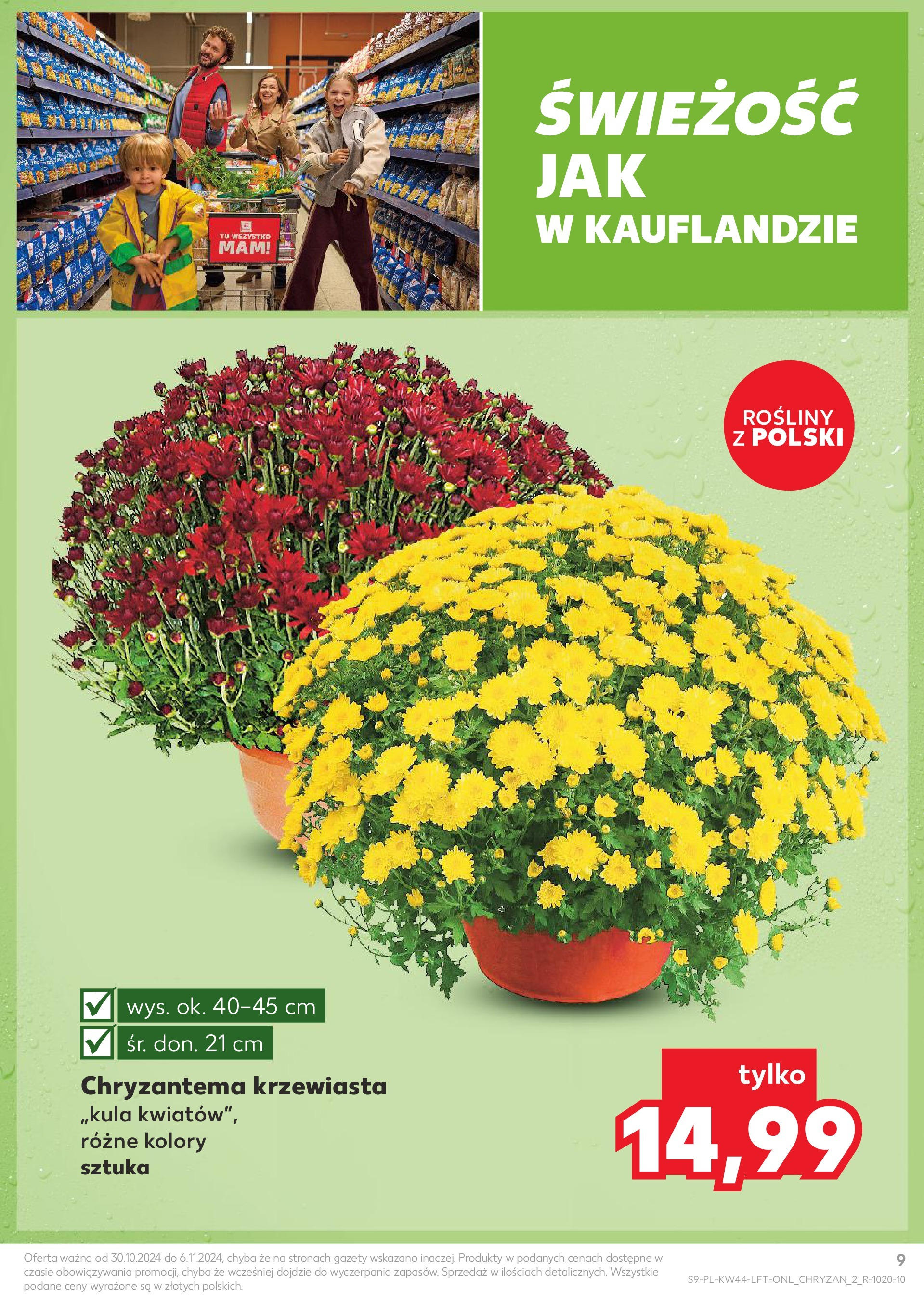 Kaufland gazetka od 30.10.2024 - od jutra PDF | Strona: 9 | Produkty: Rosliny