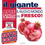 Il Gigante Il Gigante apre a Castello di Brianza - al 10.11.2024