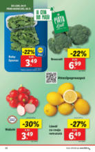 Catalog Lidl până în data de 10.11.2024