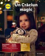 Lidl Catalog Lidl până în data de 24.12.2024 - până la 24-12-24