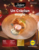 Catalog Lidl până în data de 31.12.2024