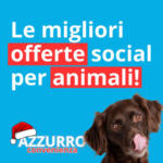 Azzurro Convenienza Le migliori offerte social per animali! - al 06.11.2024