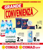 Conad GRANDE CONVENIENZA - al 13.11.2024