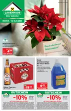 Salzburger Lagerhaus Lagerhaus Salzburg: Flugblatt - bis 16.11.2024