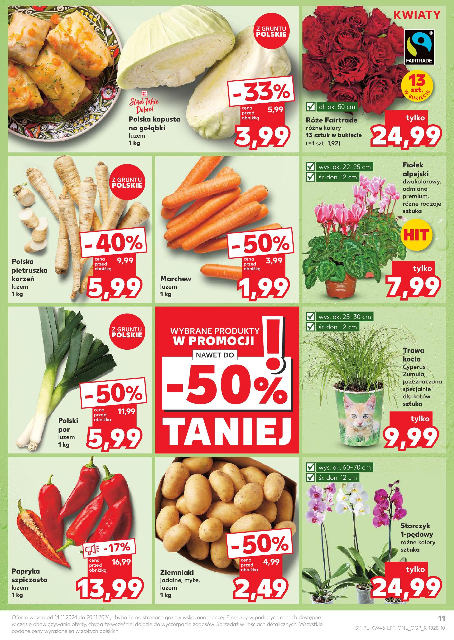 Kaufland gazetka (14.11.2024) od jutra ✳️ BLACK FRIDAY | Strona: 11 | Produkty: Kapusta, Papryka, Storczyk, Ziemniaki