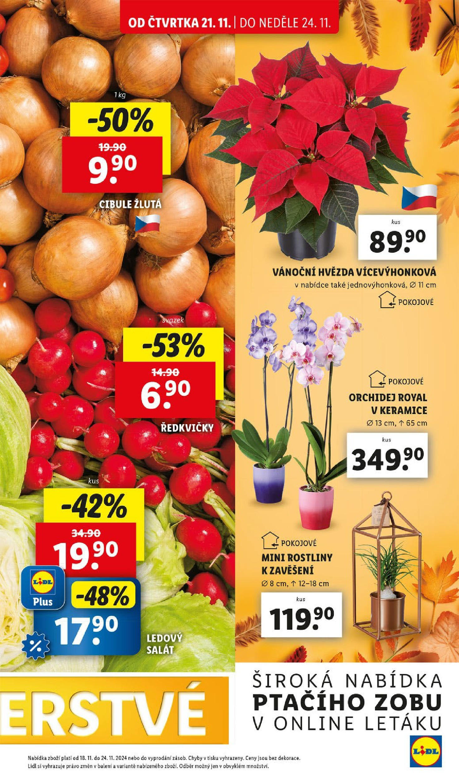 Lidl leták od 21.11.2024 - Nový akční leták | Strana: 15 | Produkty: Orchidej, Salát, Ředkvičky, Cibule