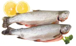 Бяла Река Сьомгова пъстърва от свежата витрина