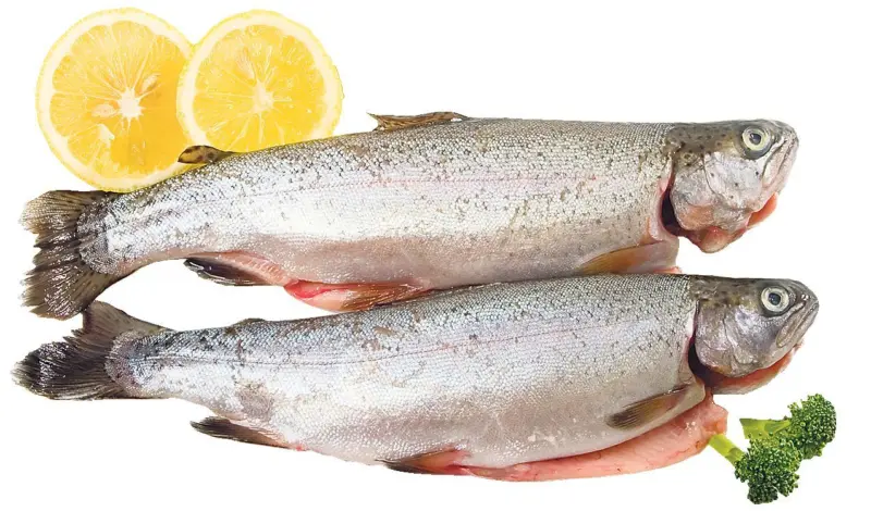 Бяла Река Сьомгова пъстърва от свежата витрина