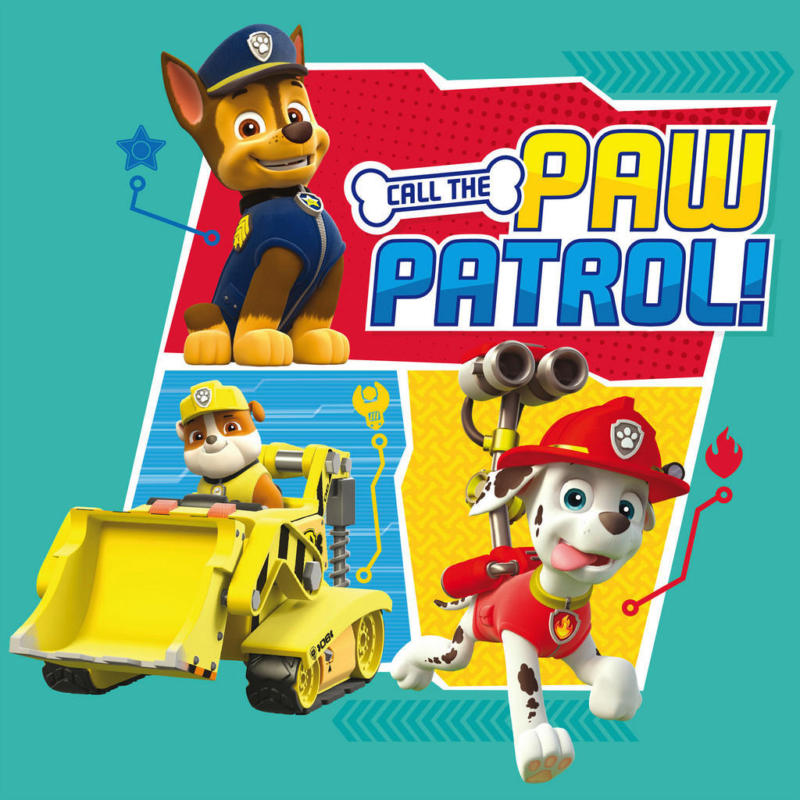 Keilrahmenbild Paw Patrol B/L: ca. 35x35 cm