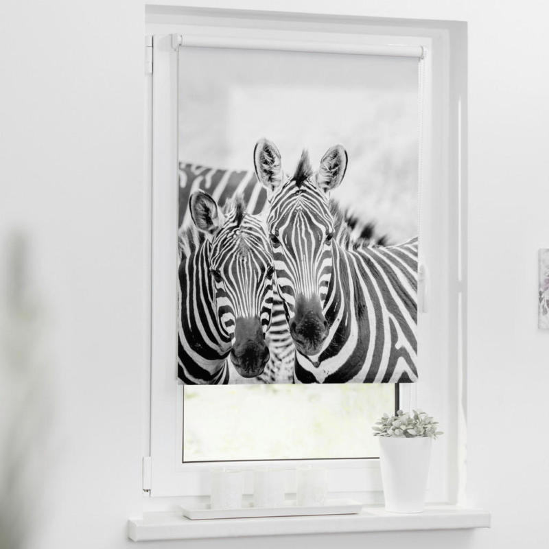 Rollo Zebra schwarz B/L: ca. 100x150 cm