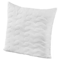 Kopfkissen Aloe Vera