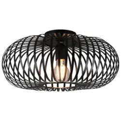 TRIO Deckenleuchte JOHANN 606900132