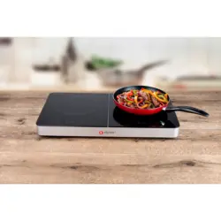 alpina Induktions-Kochplatte 18303