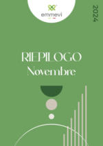 Emmevi Riepilogo - al 30.11.2024