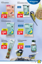 Lidl Österreich Lidl: Flugblatt in deiner Nähe - ab 28.11.2024