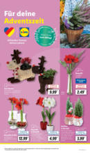 Lidl Lidl: Wochenangebote - bis 30.11.2024