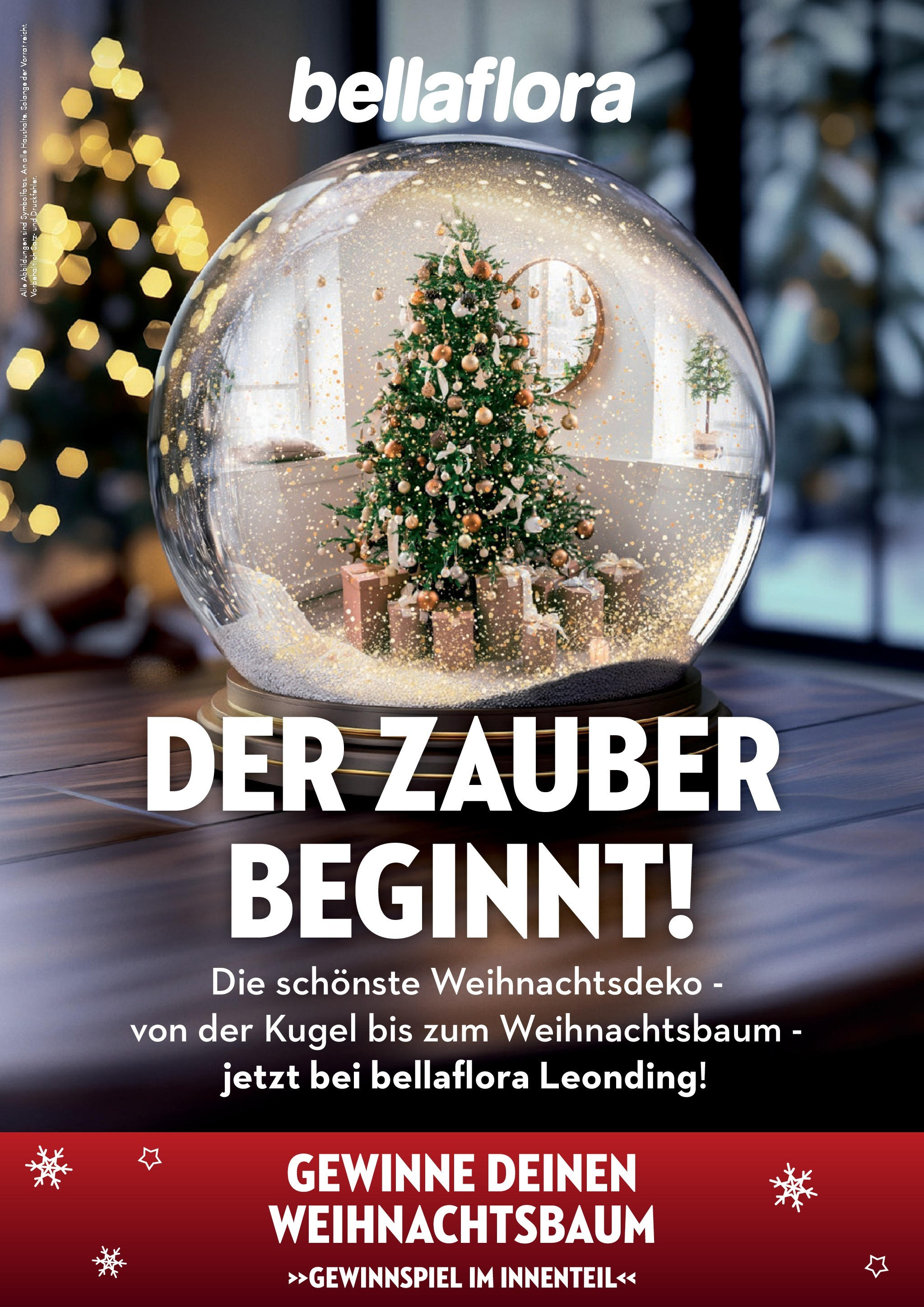 bellaflora Der Zauber beginnt! von 11.12.2024 - Aktuelle Angebote | Seite: 1 | Produkte: Salz