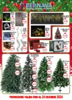 Bernava Specialista del Pulito e Profumeria - al 24.12.2024