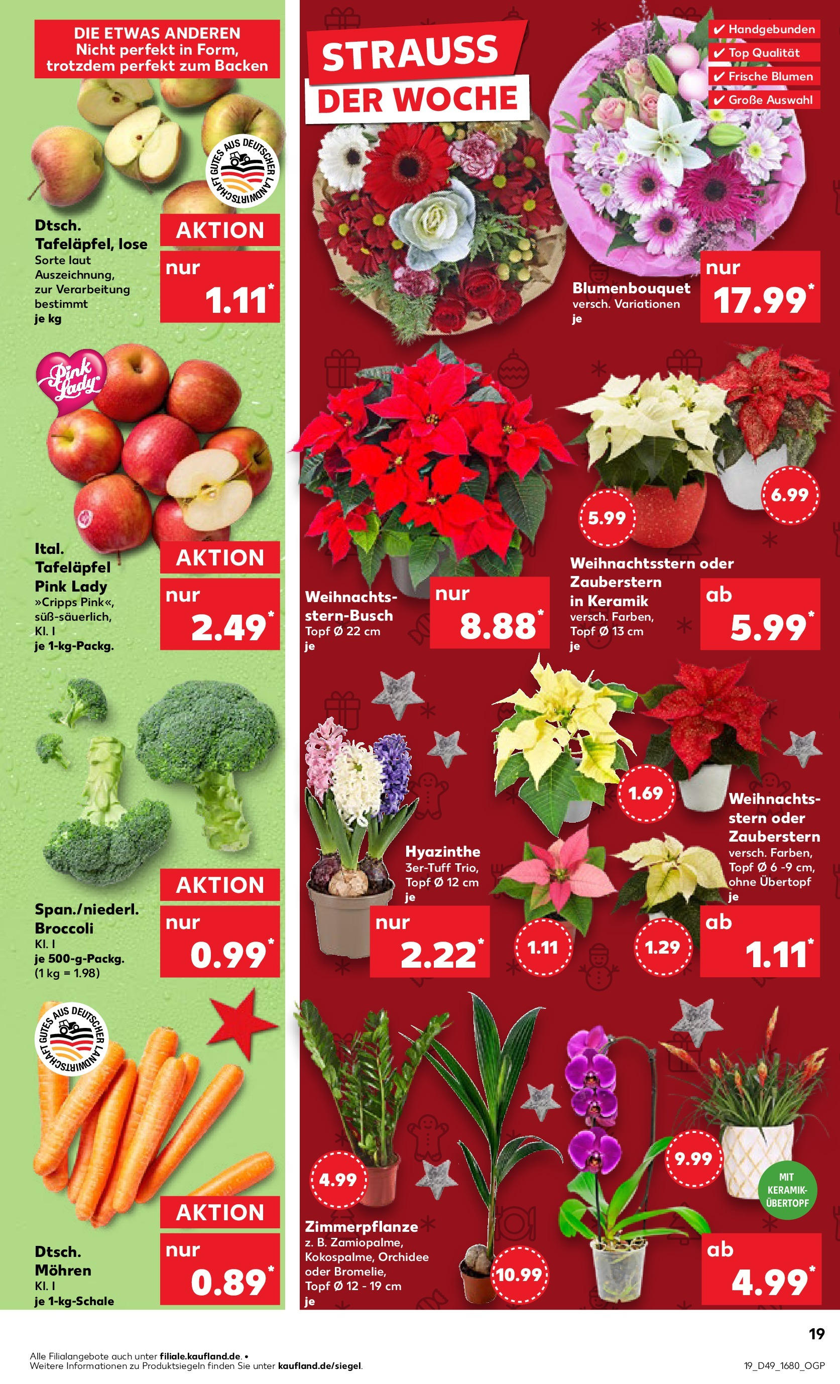 Kaufland - Bietigheim-Bissingen  (ab 05.12.2024) » Angebote Online zum Blättern | Seite: 19 | Produkte: Top, Orchidee, Blumen, Mohren