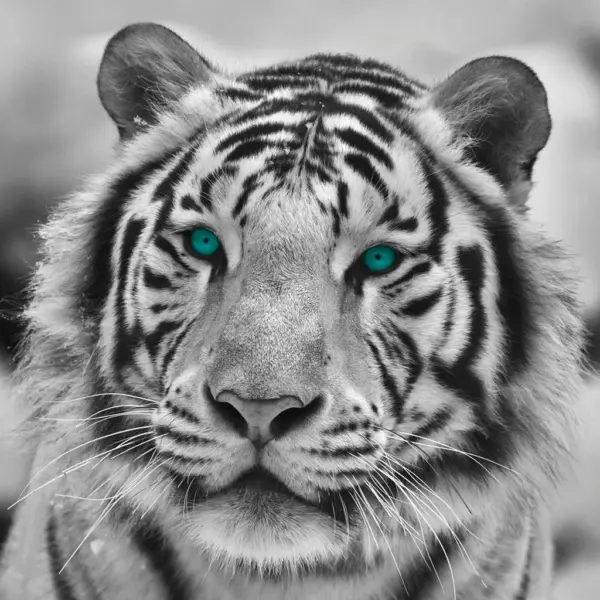 B&ouml;nninghoff Keilrahmenbild