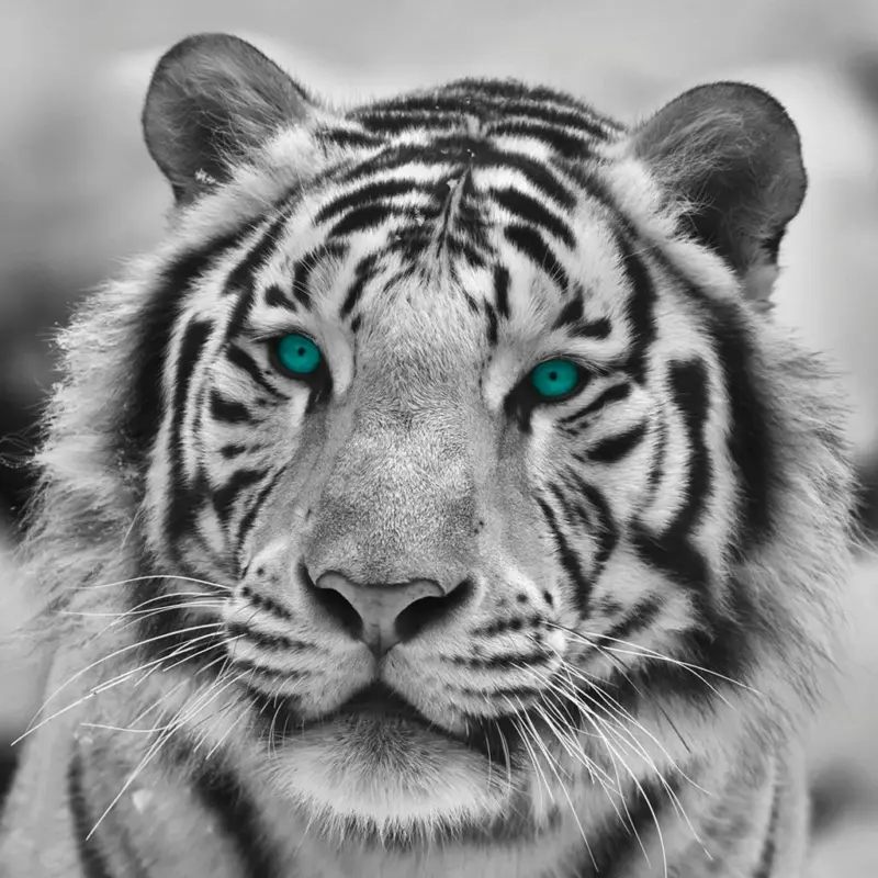 B&ouml;nninghoff Keilrahmenbild