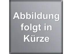 Dangbei N2 Grau, Full HD Beamer Bundle (Stand)