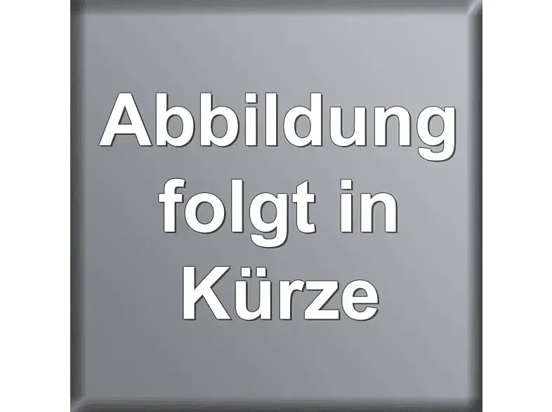 Dangbei N2 Grau, Full HD Beamer Bundle (Stand)