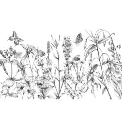 Komar Fototapete Butterfly Field Blumen B/L: ca. 400x250 cm