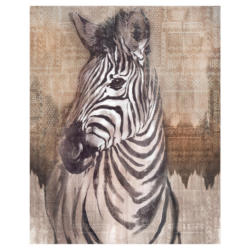 Komar Fototapete Zebra Tiere B/L: ca. 200x250 cm