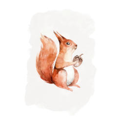 Komar Wandbild Hungry Squirrel