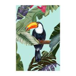 Komar Wandbild Toco Toucan