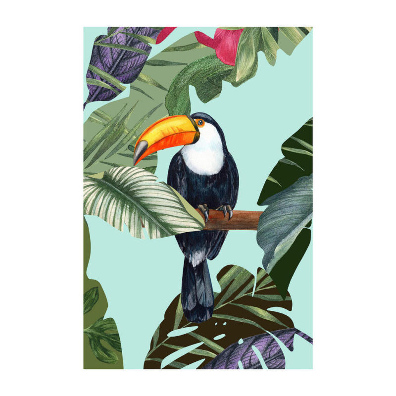 Komar Wandbild Toco Toucan