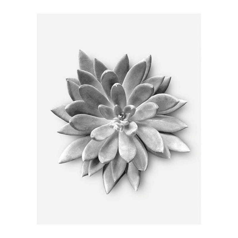 Komar Wandbild Succulent Agave Pflanzen B/L: ca. 40x50 cm