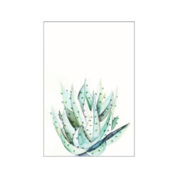 Komar Wandbild Aloe Watercolor Pflanzen B/L: ca. 30x40 cm