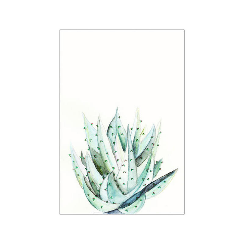 Komar Wandbild Aloe Watercolor Pflanzen B/L: ca. 30x40 cm