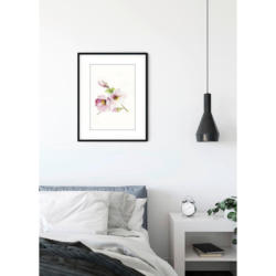 Komar Wandbild Magnolia Breathe Magnolie B/L: ca. 40x50 cm