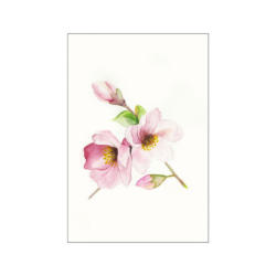 Komar Wandbild Magnolia Breathe Magnolie B/L: ca. 30x40 cm