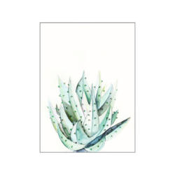 Komar Wandbild Aloe Watercolor Pflanzen B/L: ca. 40x50 cm