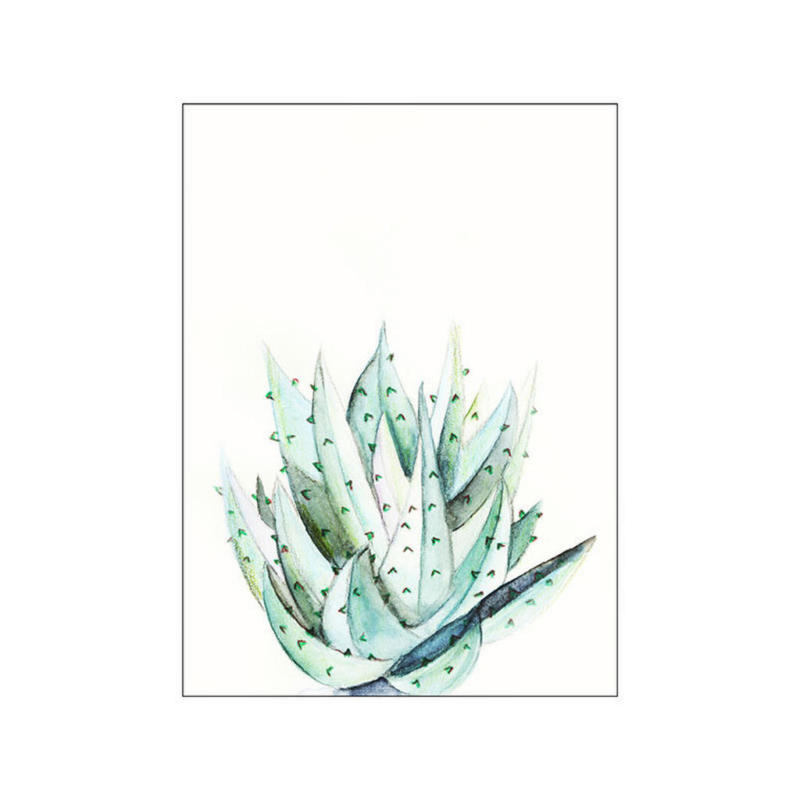 Komar Wandbild Aloe Watercolor Pflanzen B/L: ca. 40x50 cm