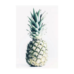 Komar Wandbild Pineapple Pflanzen B/L: ca. 50x70 cm