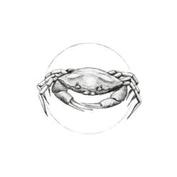 Komar Wandbild Crab White Tiere B/L: ca. 30x40 cm