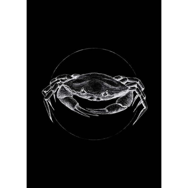 Komar Wandbild Crab Black Tiere B/L: ca. 50x70 cm