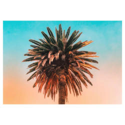 Komar Wandbild Palm Tree Palmen B/L: ca. 50x40 cm