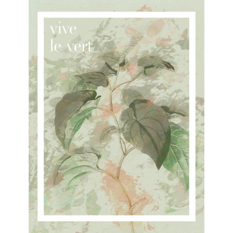 Komar Wandbild Vive le vert Spruch B/L: ca. 30x40 cm