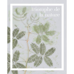 Komar Wandbild Triomphe de la nature Spruch B/L: ca. 40x50 cm