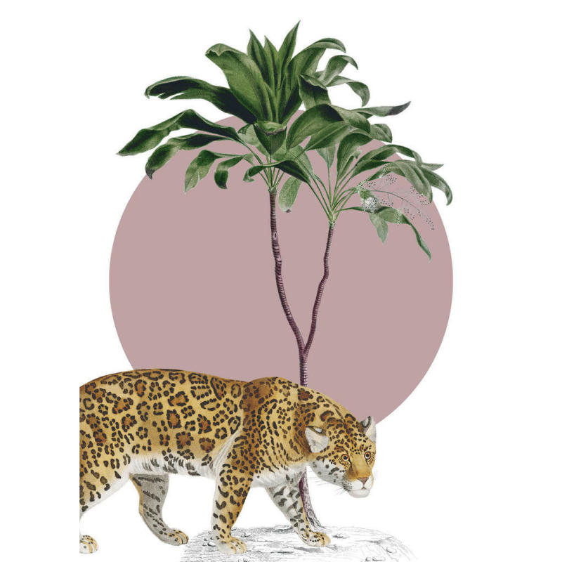 Komar Wandbild Botanical Garden Jaguar Dschungeltiere B/L: ca. 50x70 cm