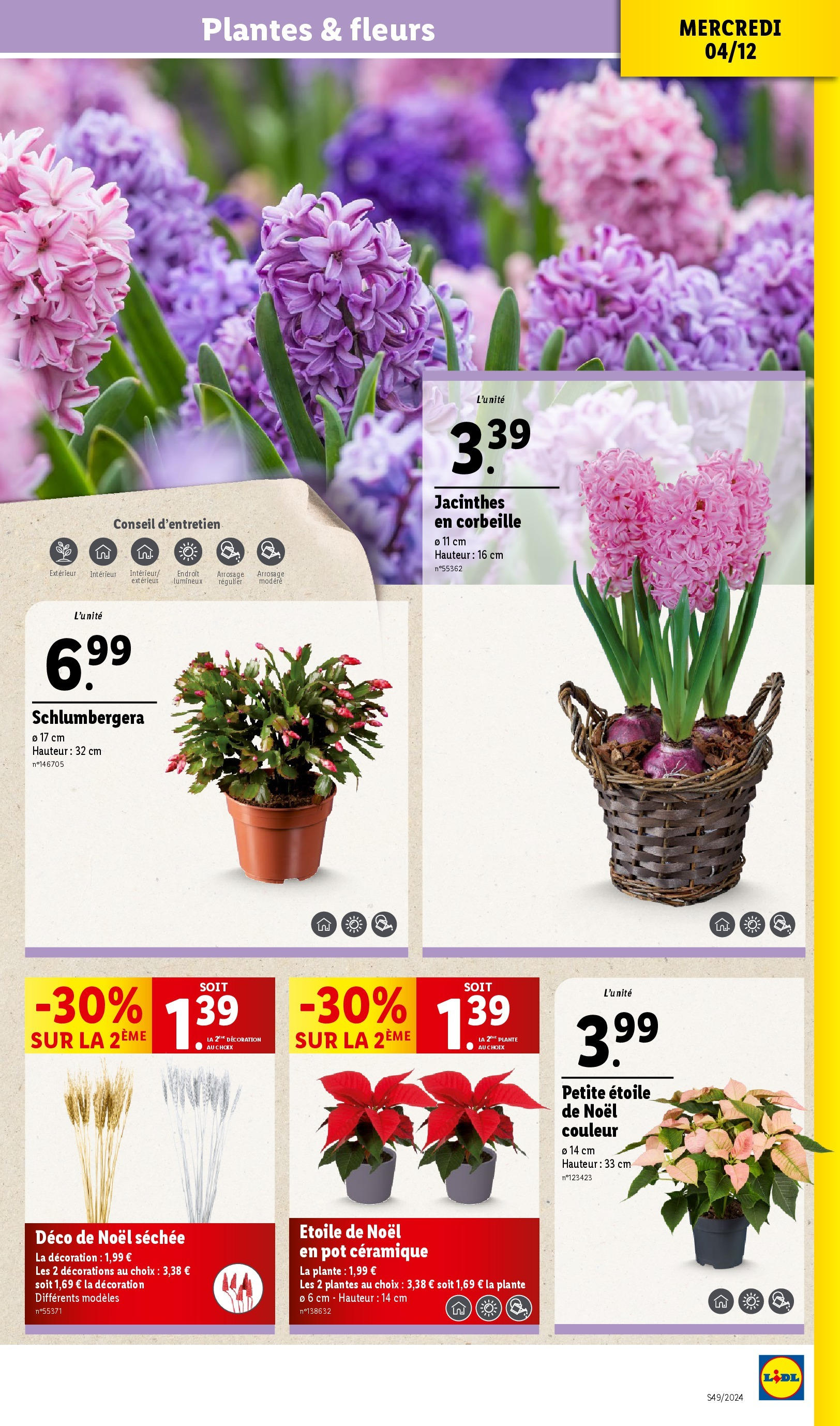 Catalogue LIDL du 03/12/2024 | Promo prospectus en ligne | Page: 39 | Produits: Plantes