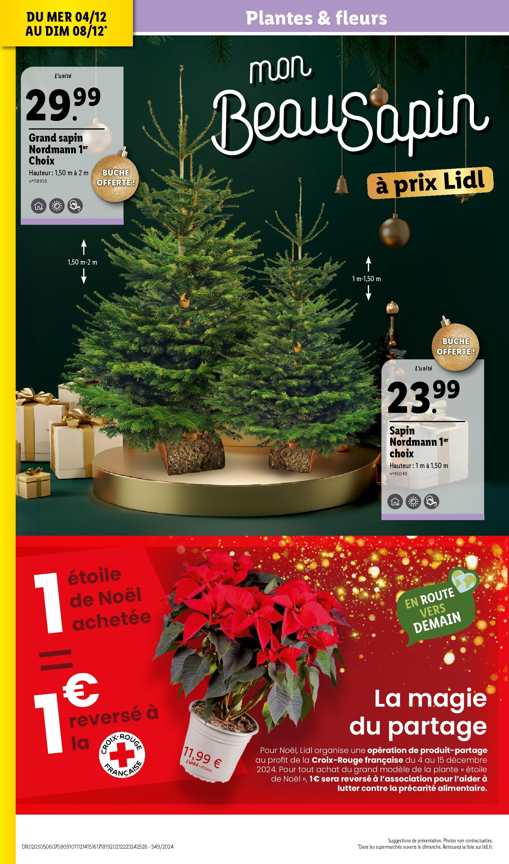 Catalogue LIDL du 03/12/2024 | Promo prospectus en ligne | Page: 40 | Produits: Plantes, Sapin nordmann