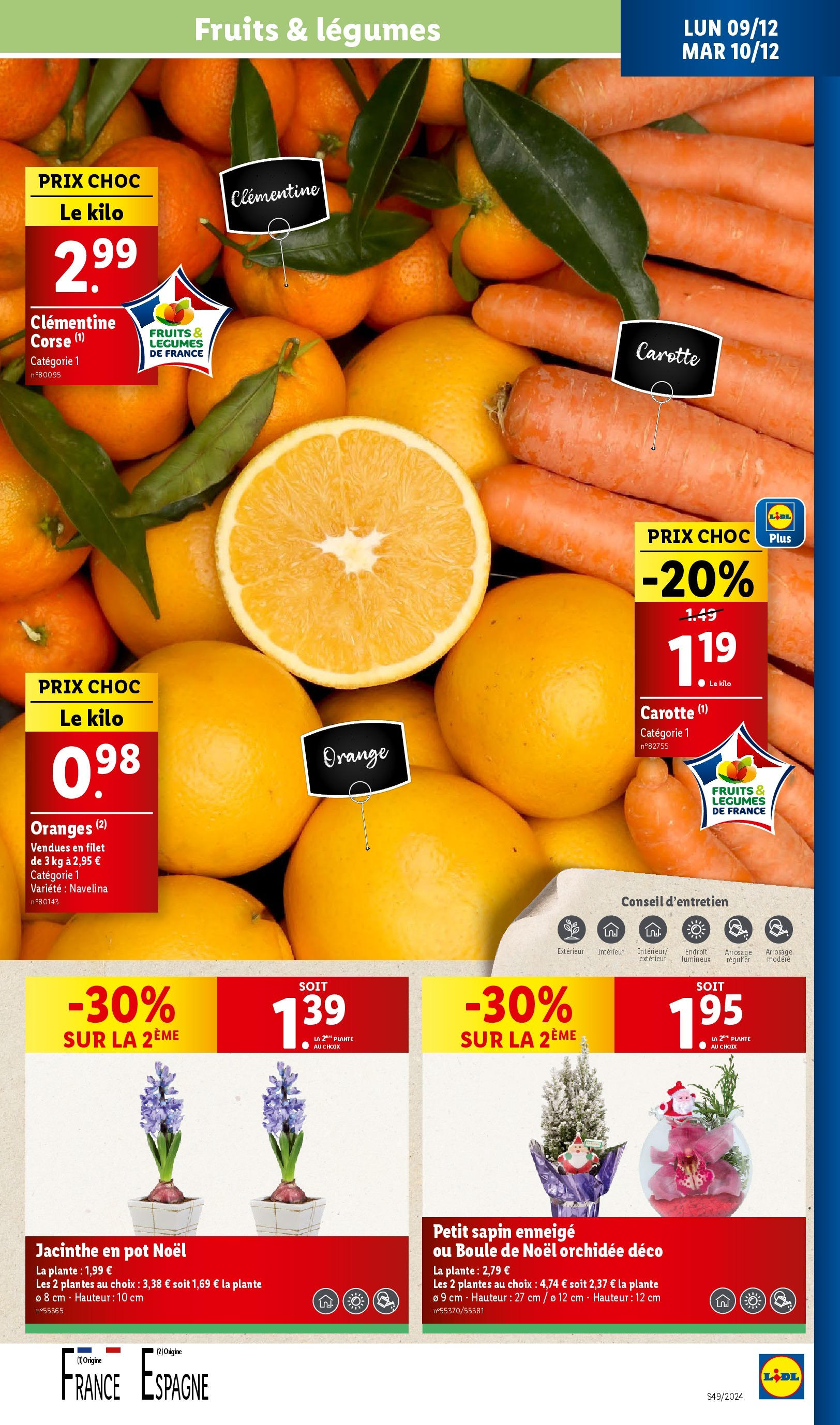 Catalogue LIDL du 03/12/2024 | Promo prospectus en ligne | Page: 41 | Produits: Orange, Plantes, Oranges, Carotte