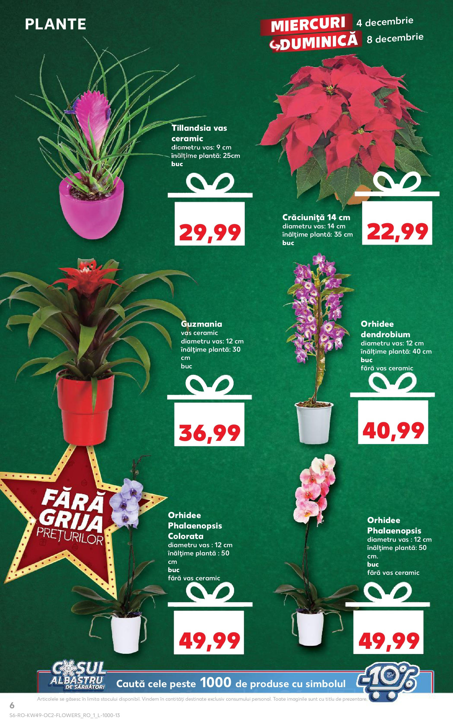 Catalog Kaufland - Sibiu 04.12.2024 - Revista si Oferta | Pagină: 6 | Produse: Orhidee, Pește